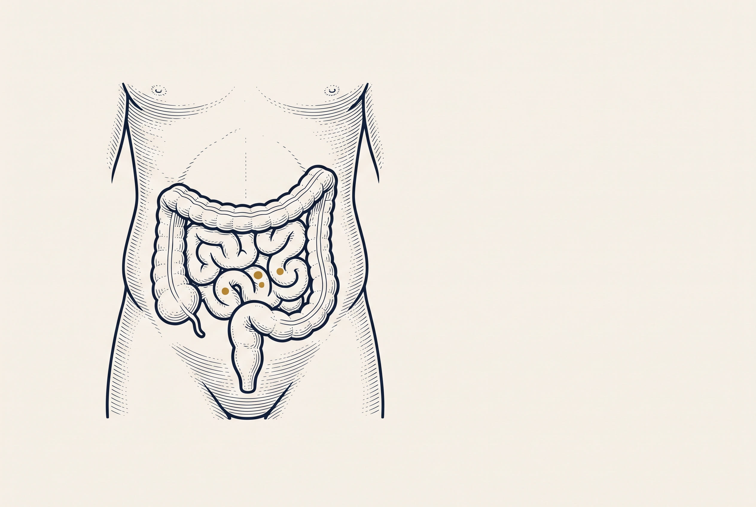 Distensão abdominal e gases persistentes: o que a evidência mostra sobre causas, investigação e tratamento